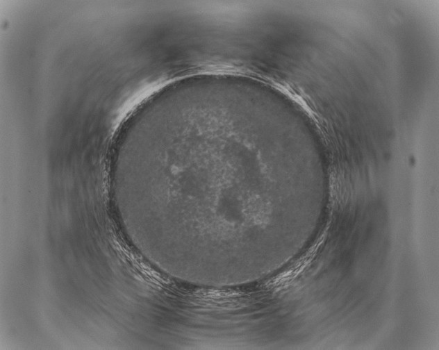 X0000087021311200704301304