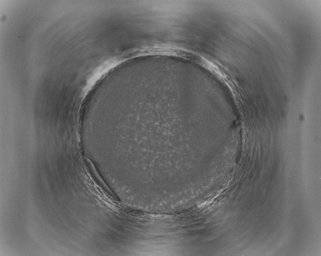 X0000087021312200704301304