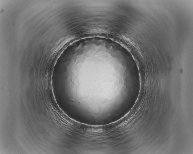 X0000087021313200704301304