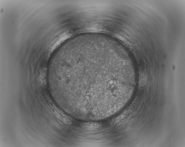 X0000087021314200704301304