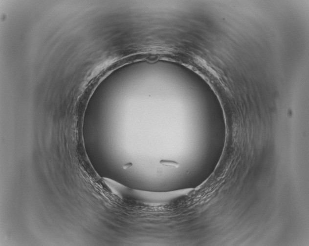 X0000087021315200704301304