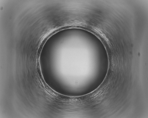 X0000087021316200704301304