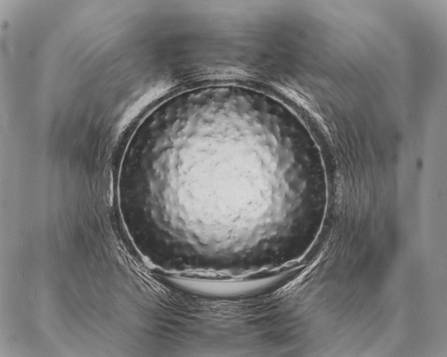 X0000087021317200704301304