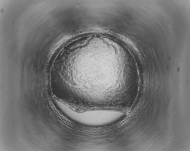 X0000087021318200704301304