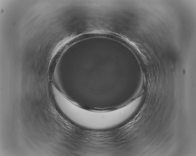 X0000087021319200704301304