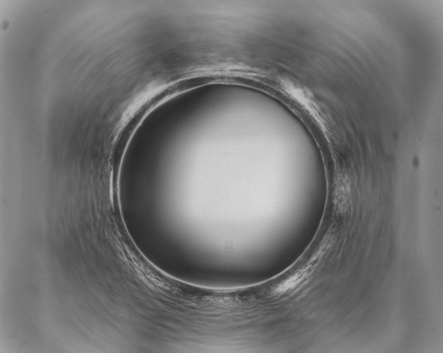 X0000087021320200704301304