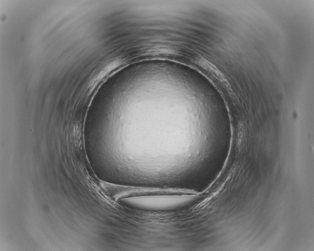 X0000087021321200704301304