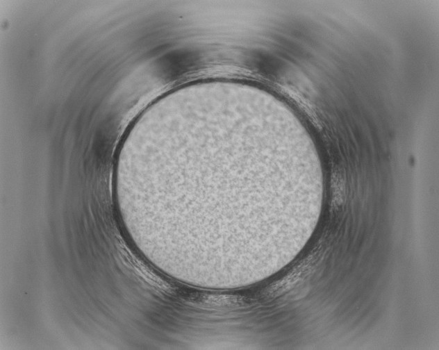 X0000087021322200704301304