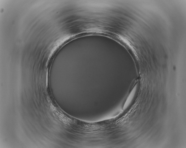 X0000087021323200704301304