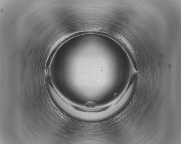 X0000087021324200704301304