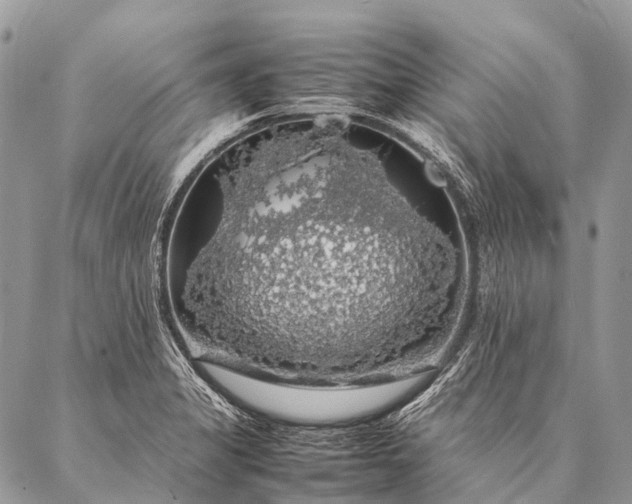 X0000087021325200704301304