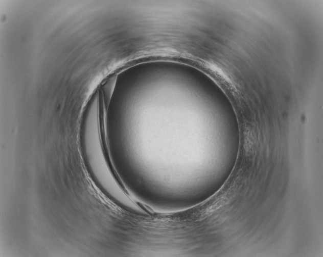 X0000087021326200704301304