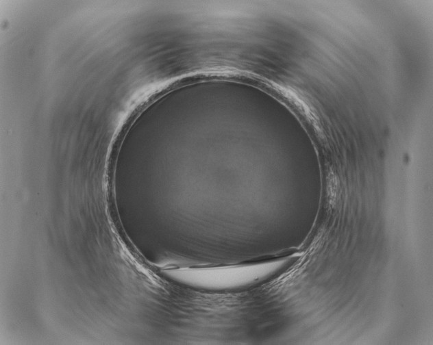 X0000087021327200704301304