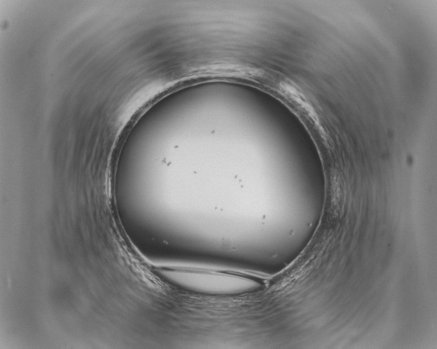 X0000087021328200704301304