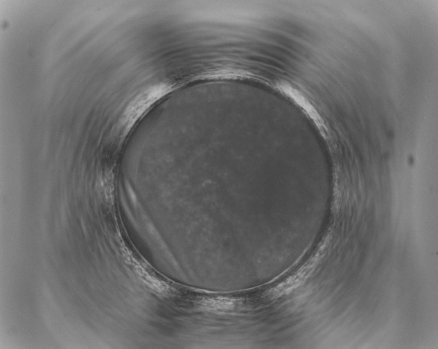 X0000087021329200704301304