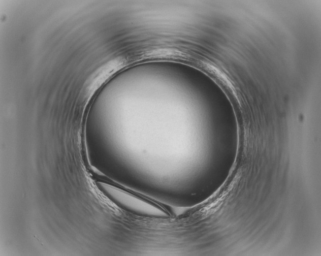 X0000087021330200704301304