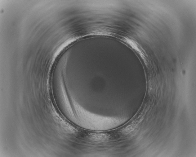 X0000087021331200704301304