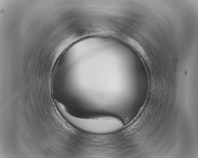 X0000087021332200704301304