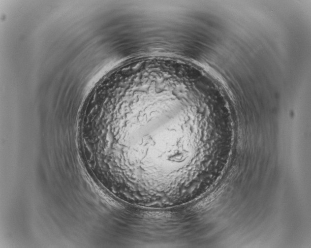 X0000087021333200704301304