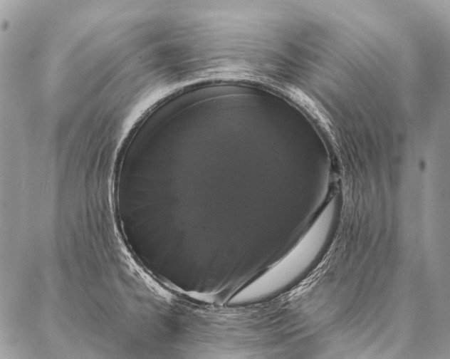 X0000087021334200704301304