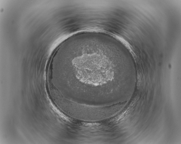 X0000087021335200704301304