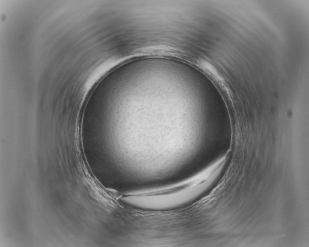 X0000087021336200704301304