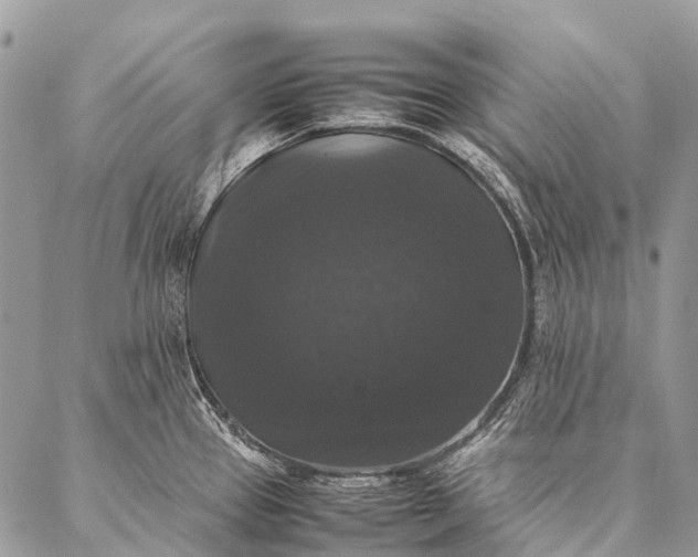 X0000087021337200704301305