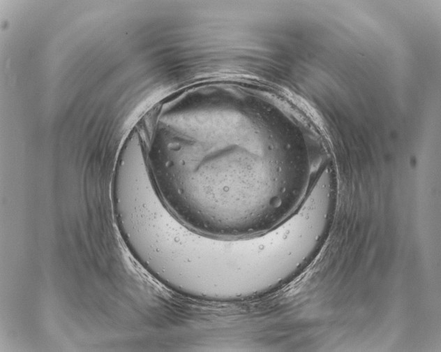 X0000087021338200704301305