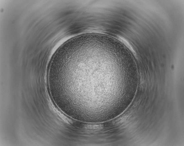 X0000087021339200704301305