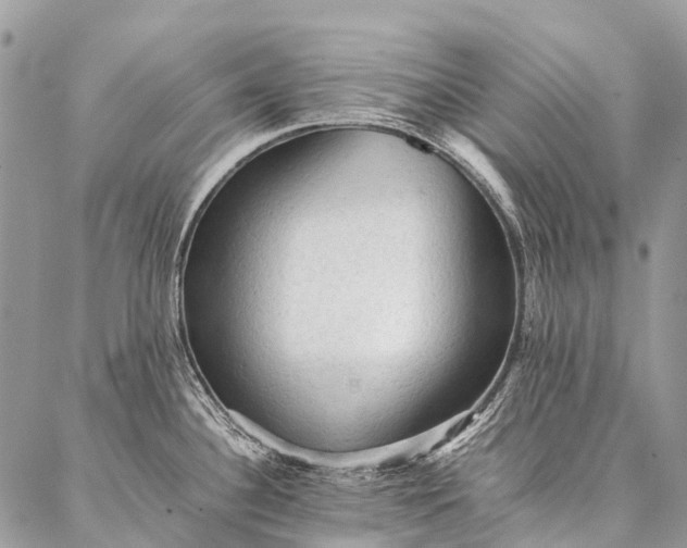 X0000087021340200704301305