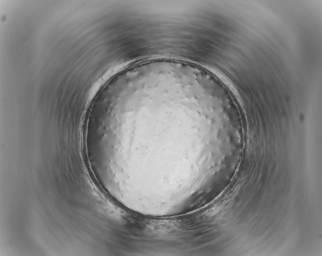 X0000087021341200704301305