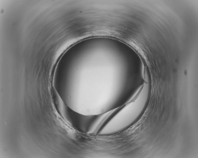 X0000087021342200704301305