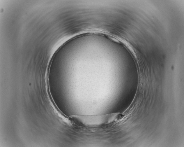 X0000087021343200704301305