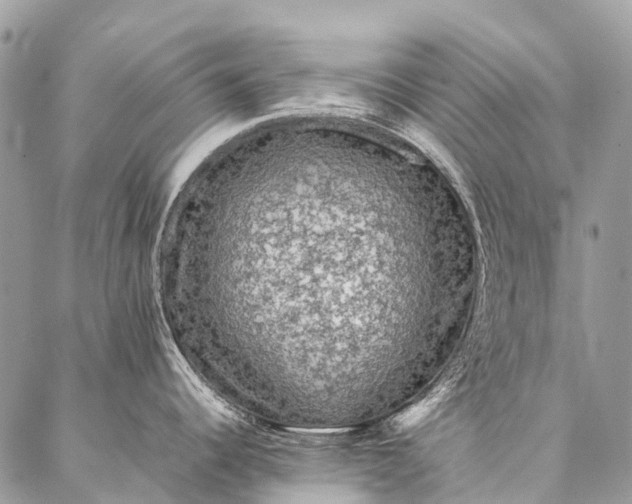 X0000087021344200704301305