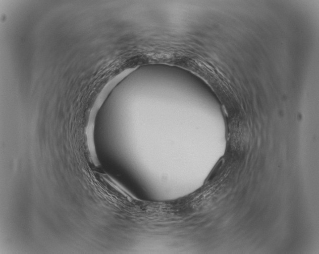 X0000087021345200704301304