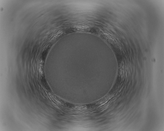 X0000087021346200704301304