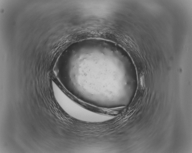 X0000087021347200704301304