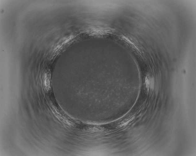 X0000087021348200704301304