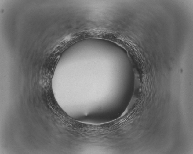 X0000087021349200704301304