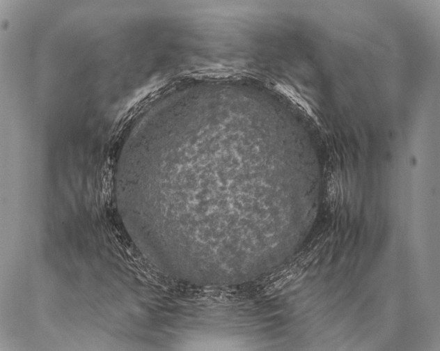 X0000087021350200704301304