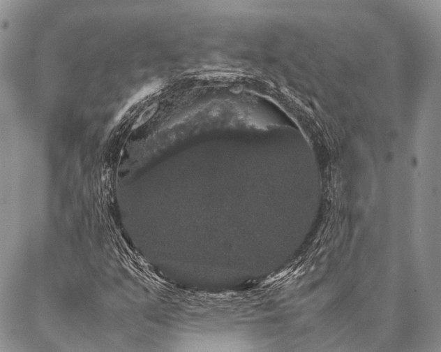 X0000087021351200704301304