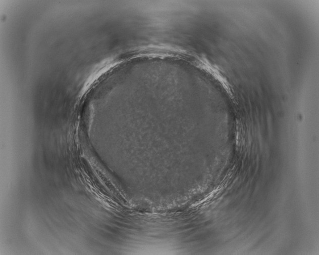 X0000087021352200704301304