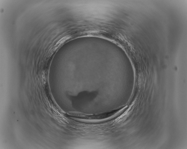 X0000087021353200704301304