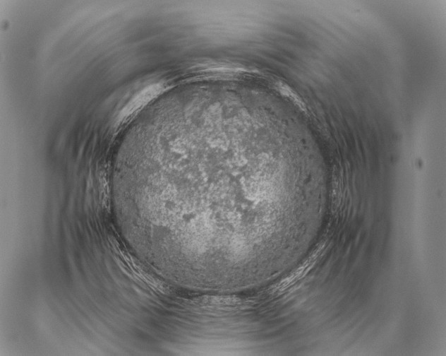 X0000087021354200704301304