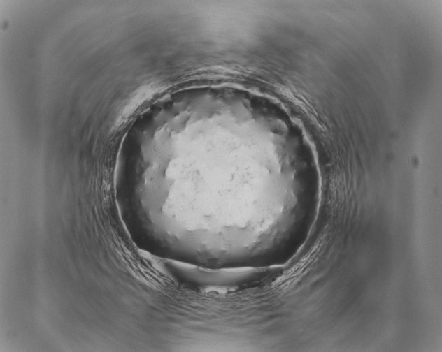 X0000087021355200704301304