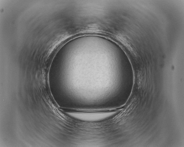 X0000087021356200704301304