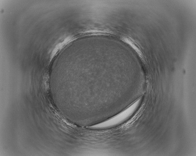 X0000087021357200704301304