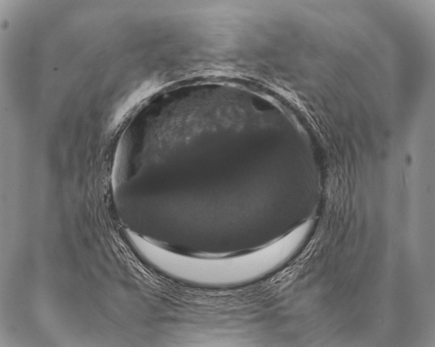 X0000087021359200704301304