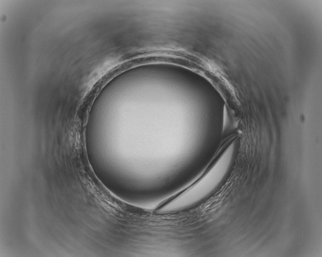 X0000087021360200704301304