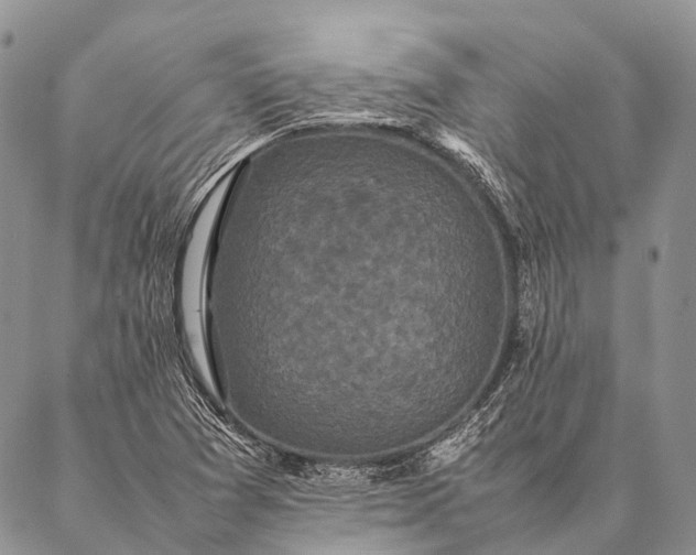 X0000087021361200704301304